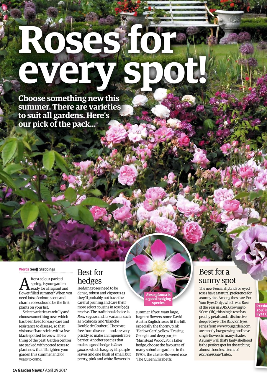 Garden News Preview Pages