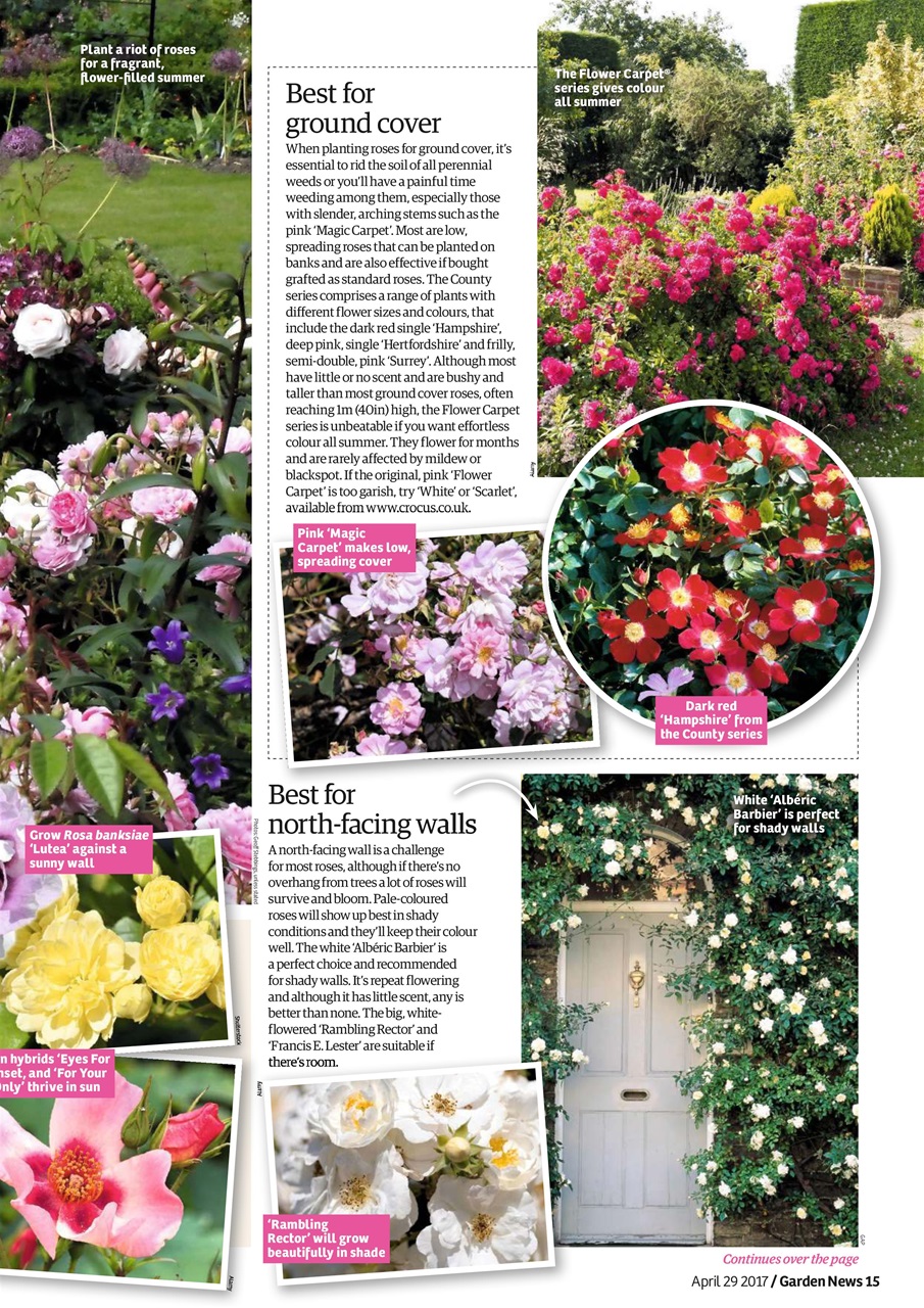 Garden News Preview Pages