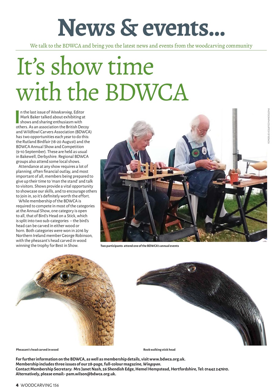 Woodcarving Preview Pages