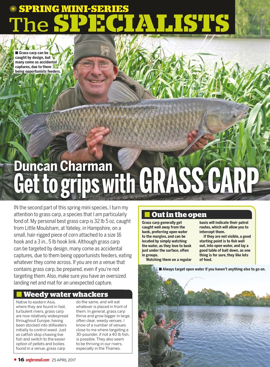 Anglers Mail Preview Pages