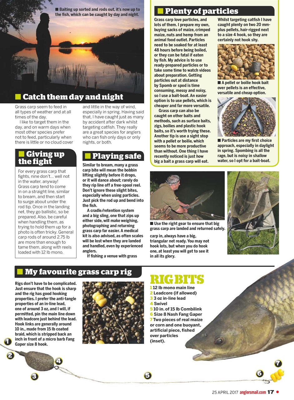 Anglers Mail Preview Pages