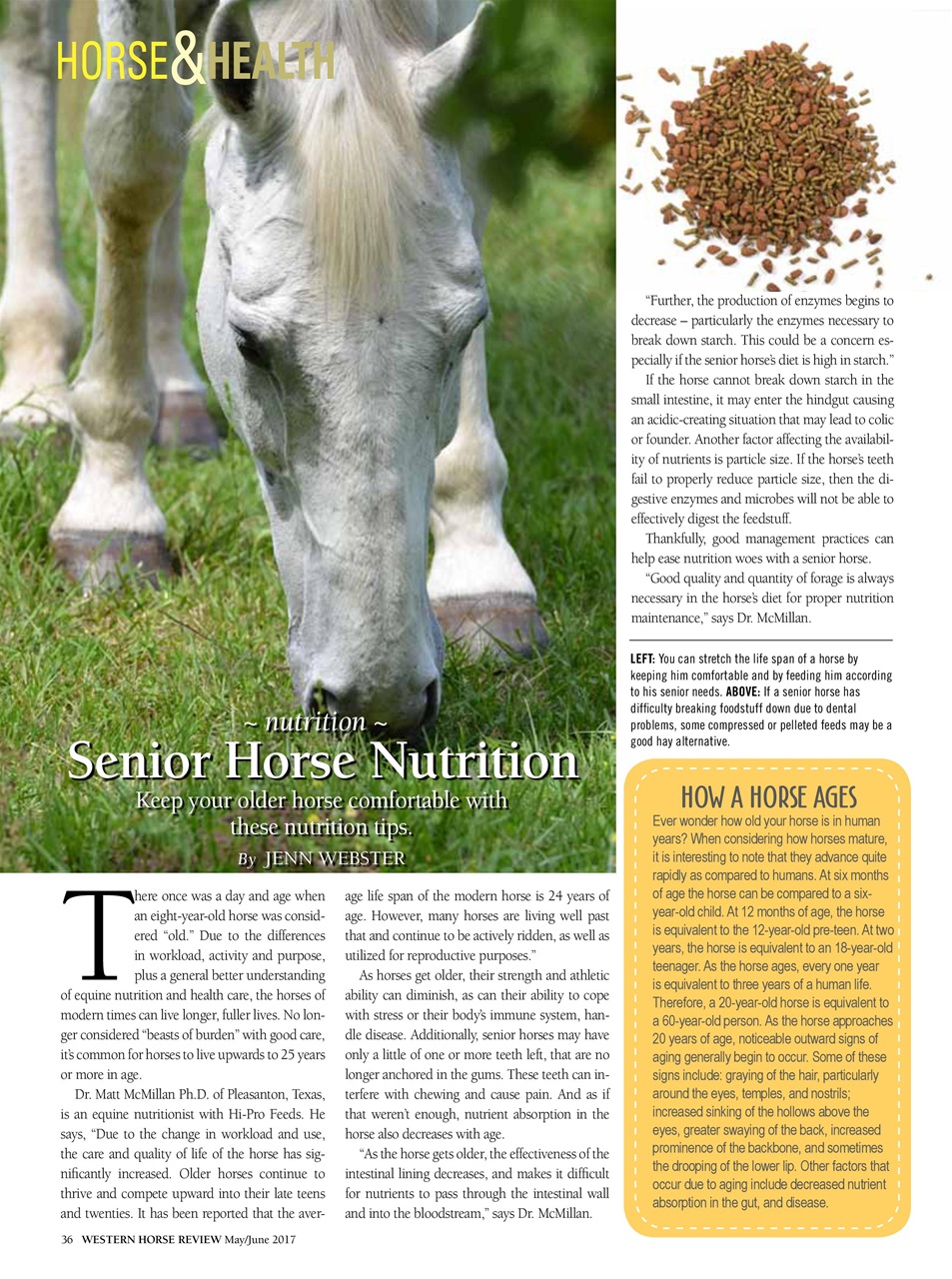 Western Horse Review Preview Pages