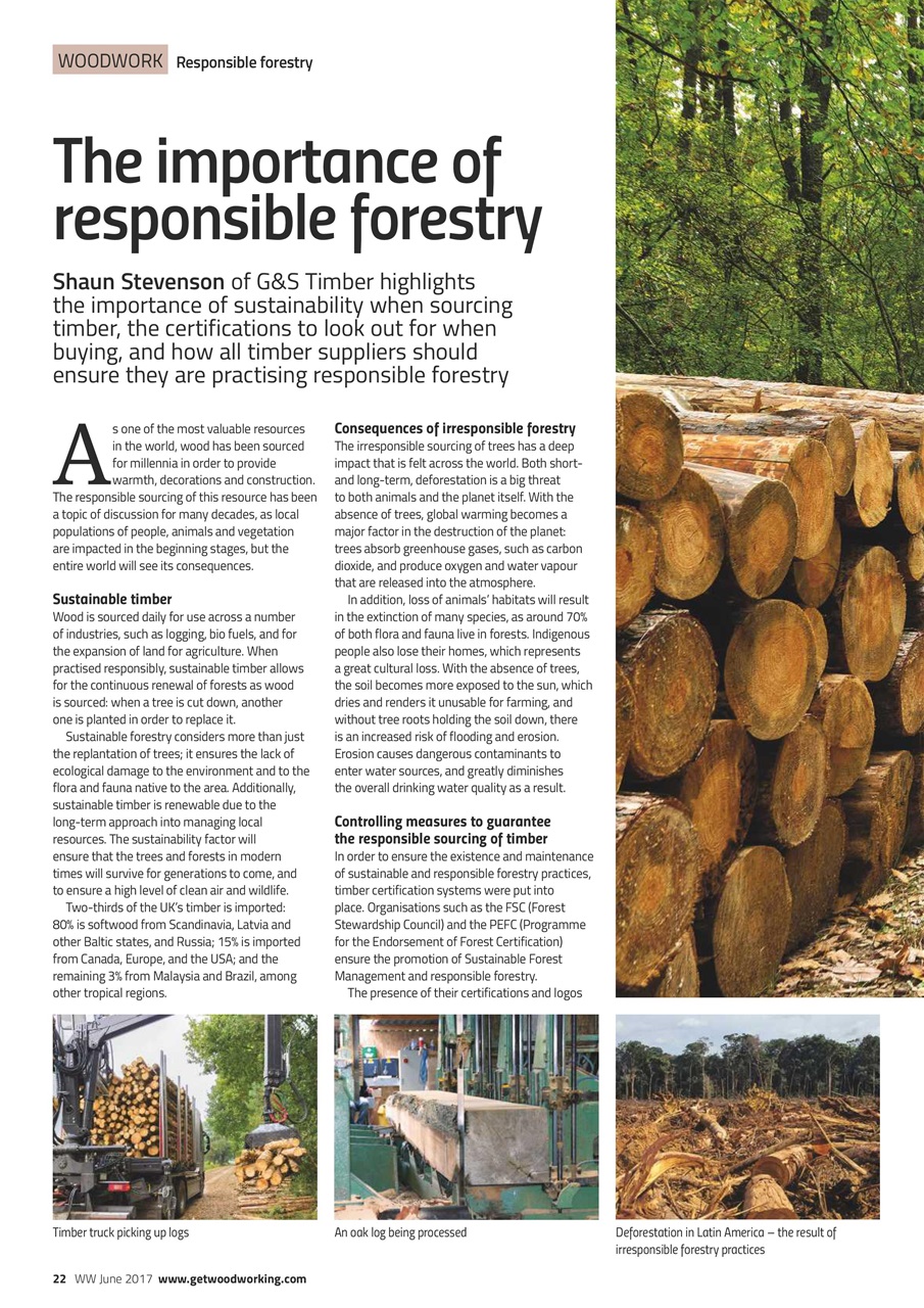 The Woodworker Magazine Preview Pages