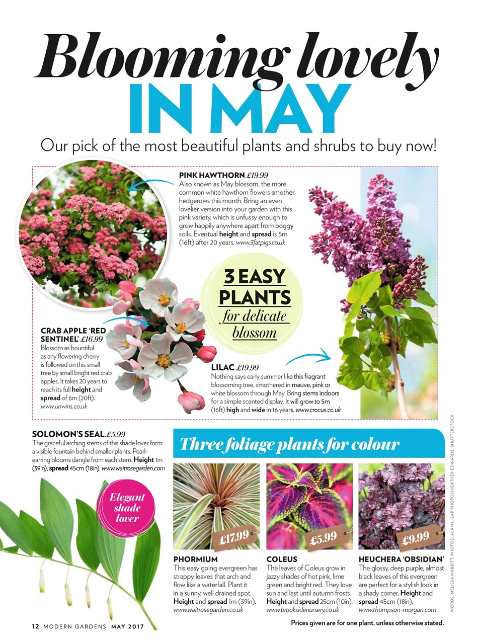 Modern Gardens Preview Pages