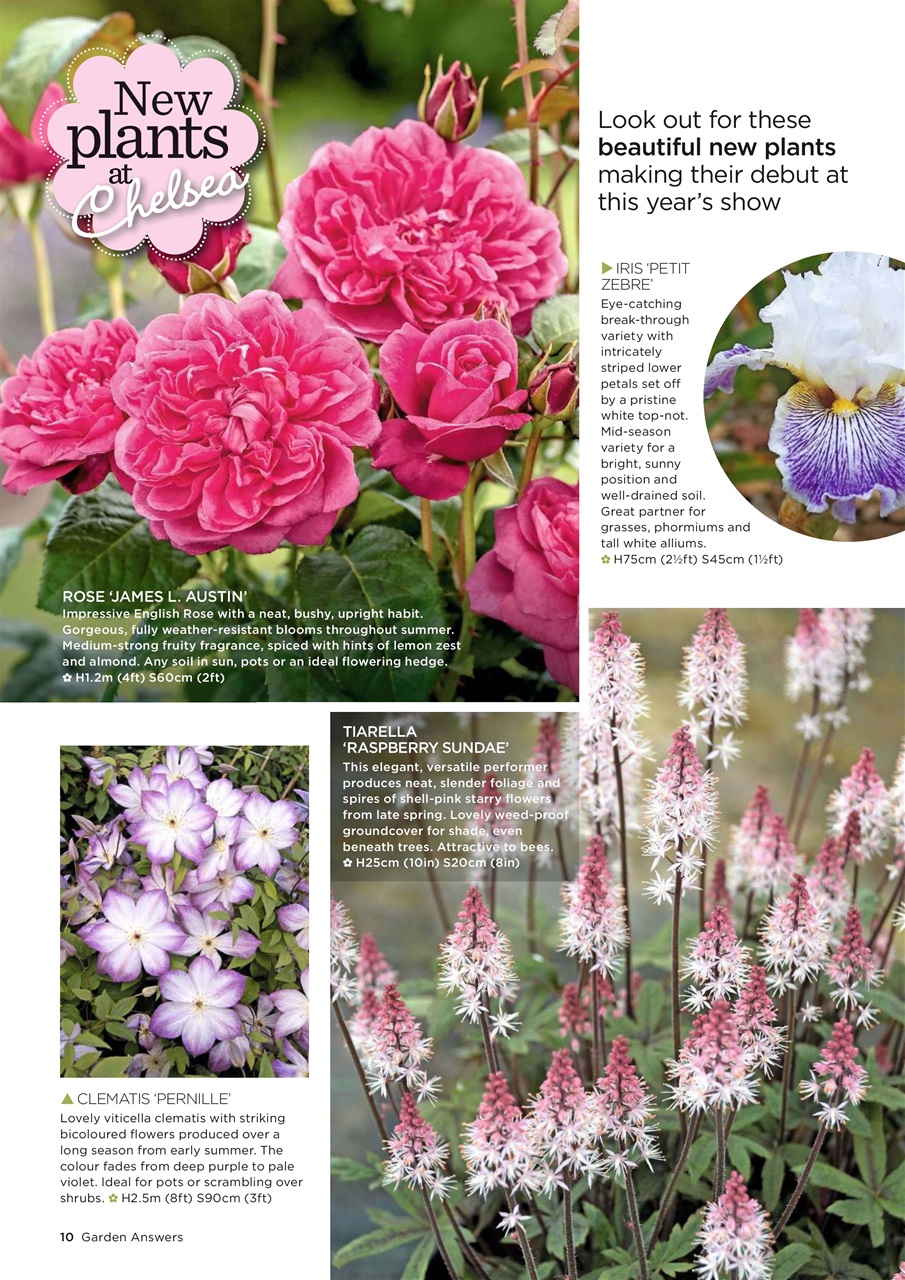 Garden Answers Preview Pages