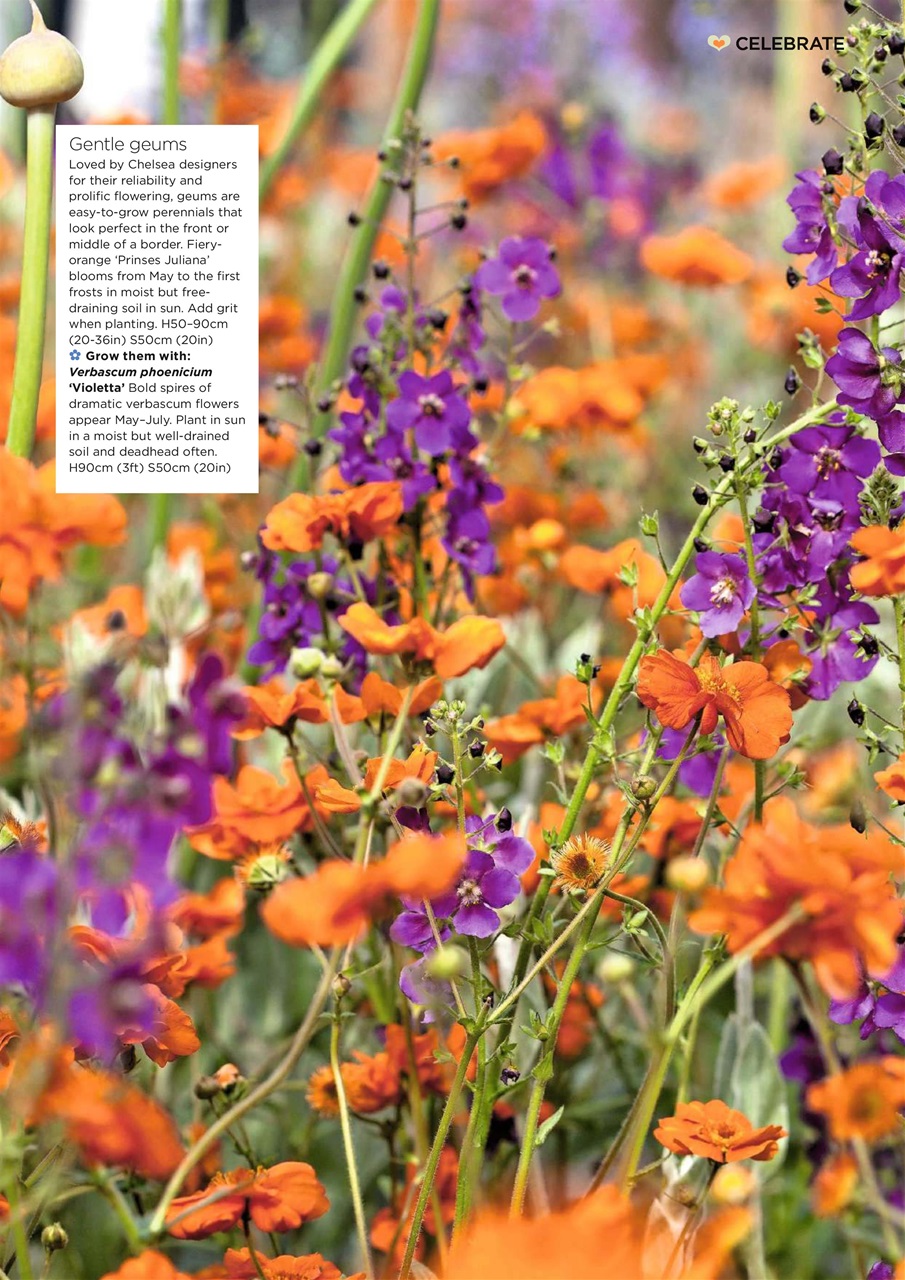 Garden Answers Preview Pages