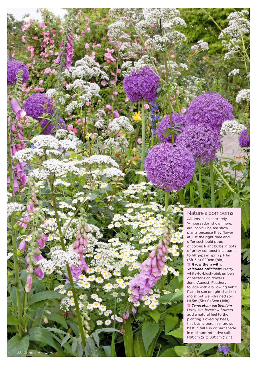 Garden Answers Preview Pages