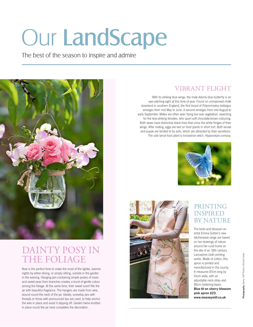 LandScape Preview Pages