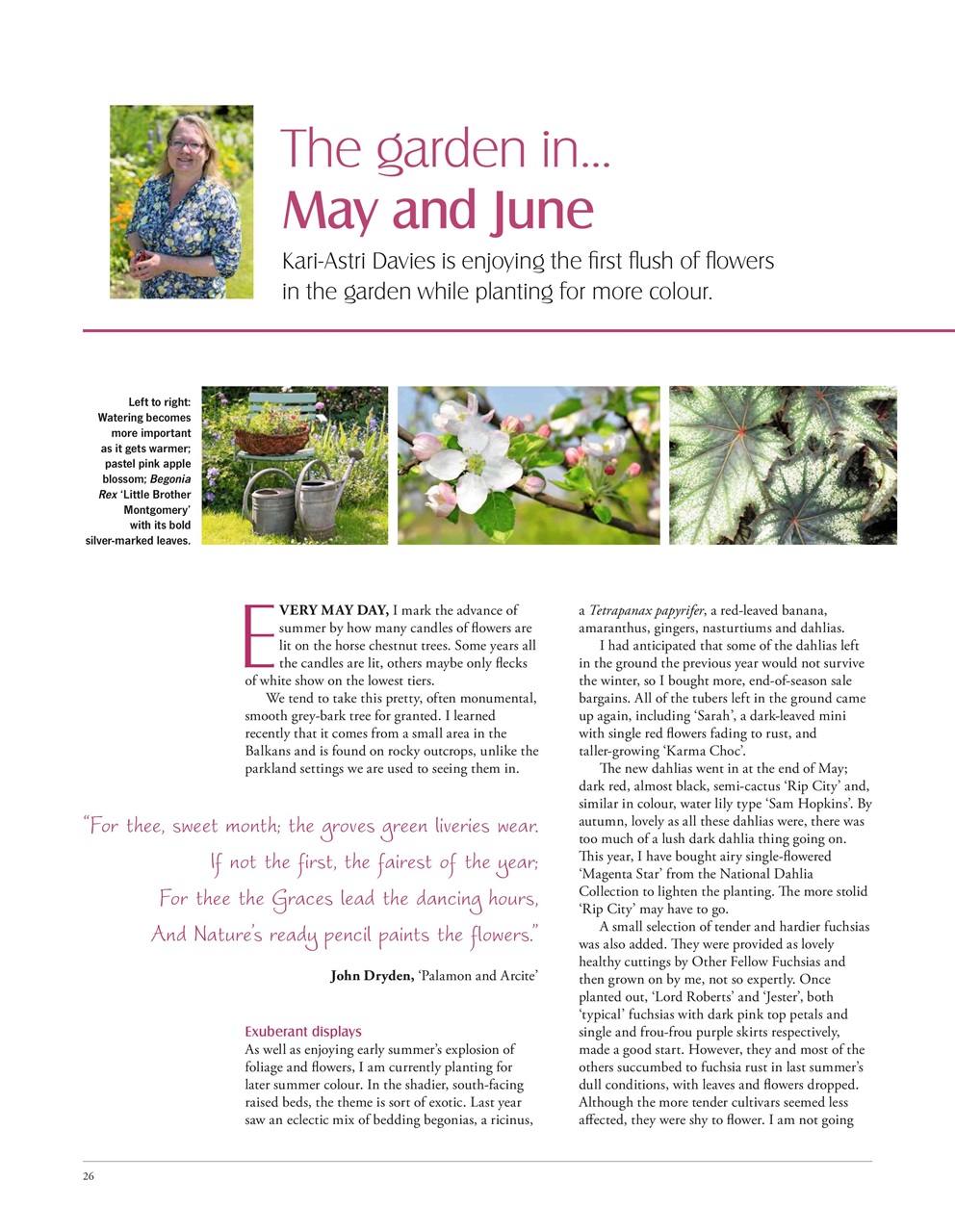 LandScape Preview Pages