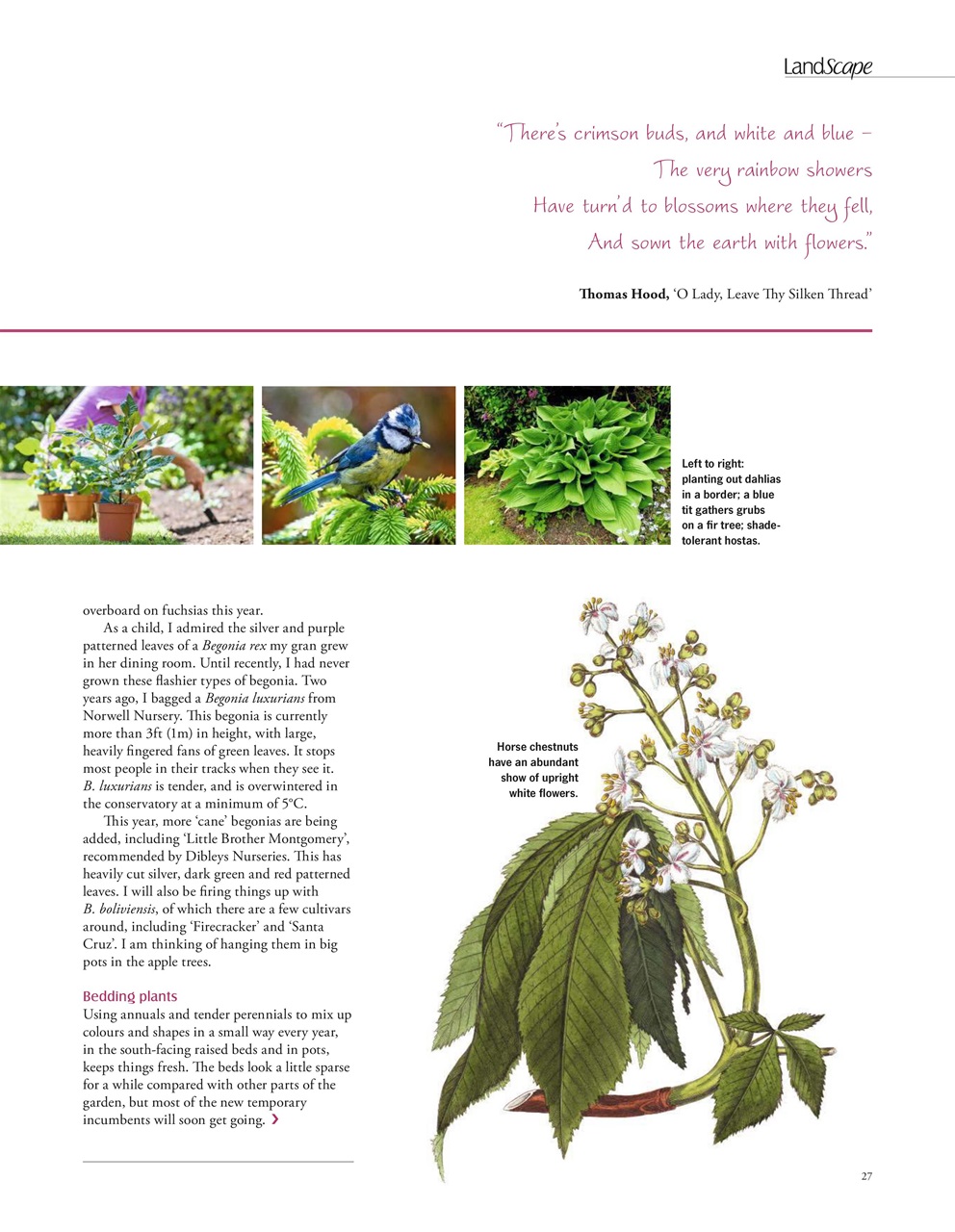 LandScape Preview Pages