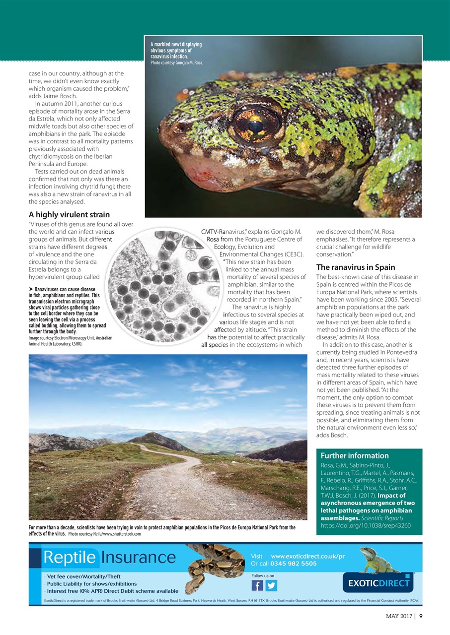 Practical Reptile Keeping Preview Pages