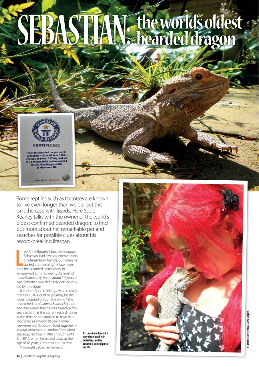 Practical Reptile Keeping Preview Pages
