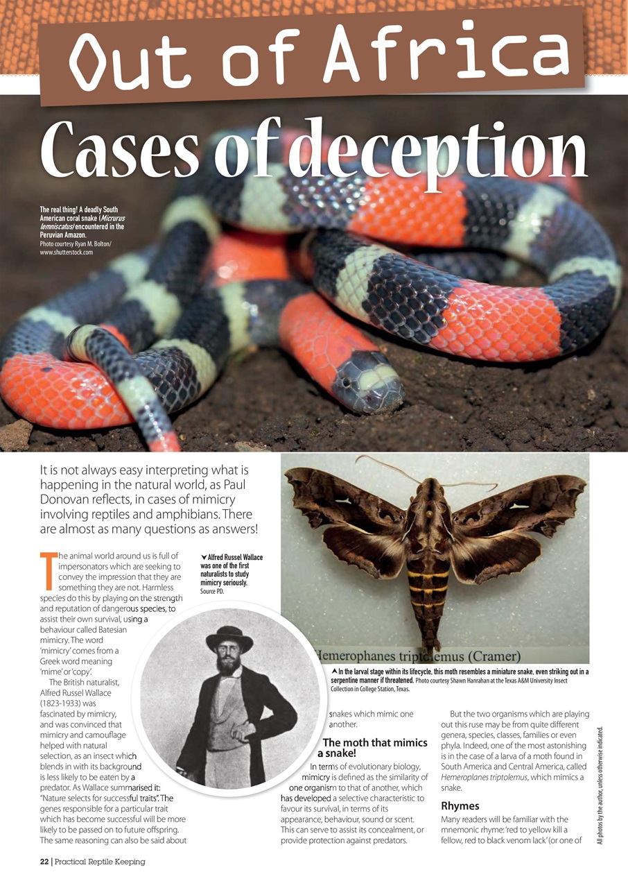 Practical Reptile Keeping Preview Pages