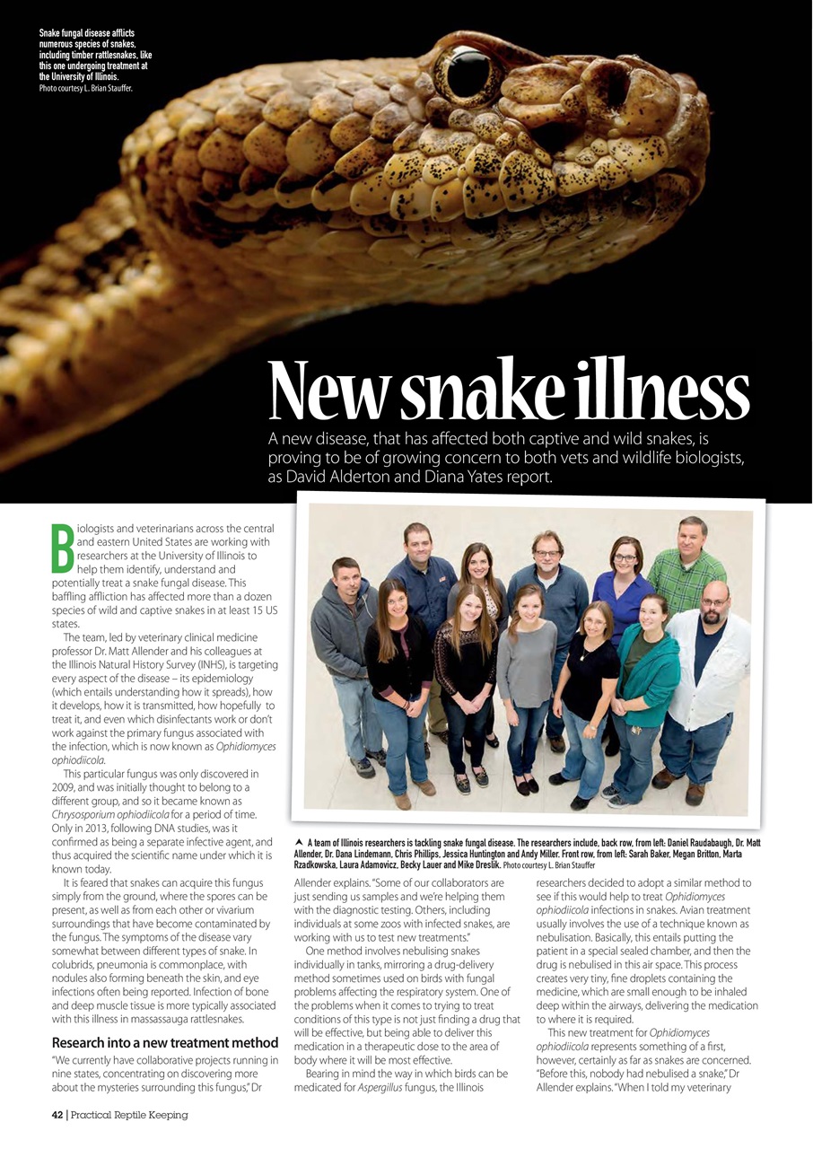 Practical Reptile Keeping Preview Pages