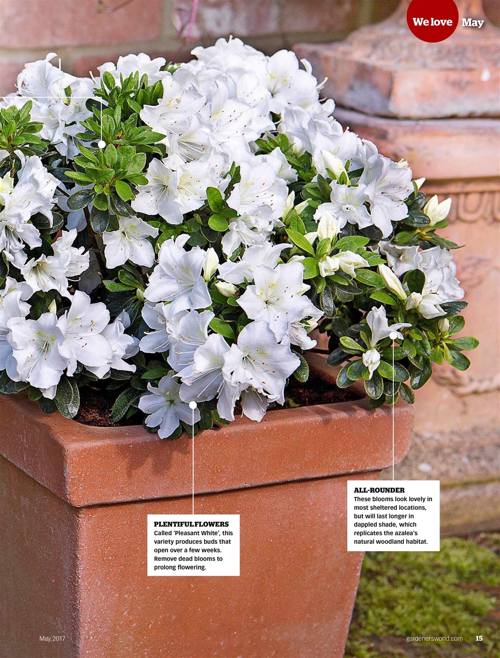 BBC Gardeners’ World Magazine Preview Pages