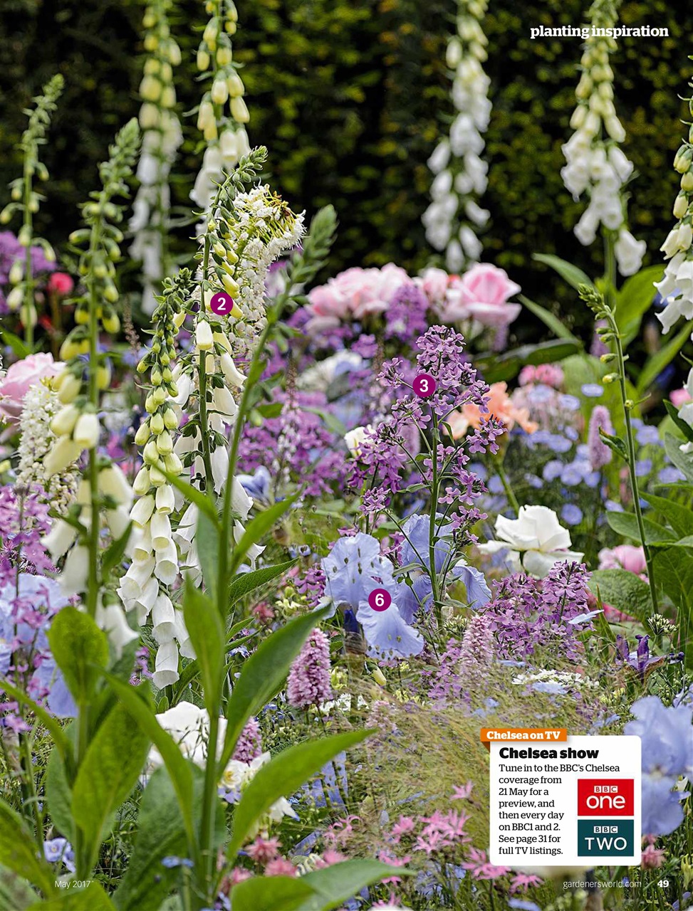 BBC Gardeners’ World Magazine Preview Pages