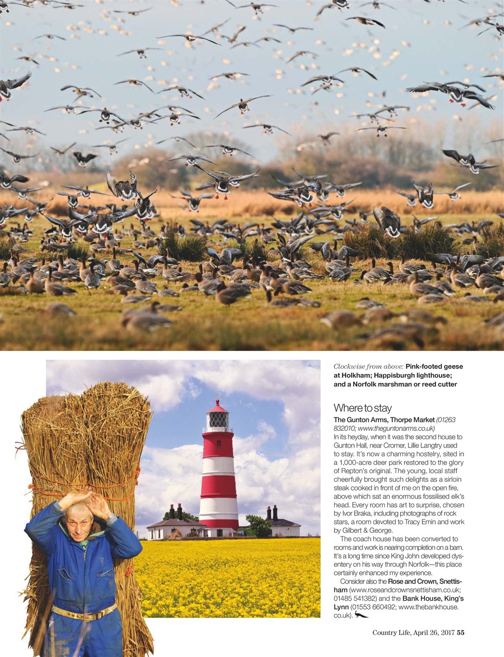 Country Life Preview Pages