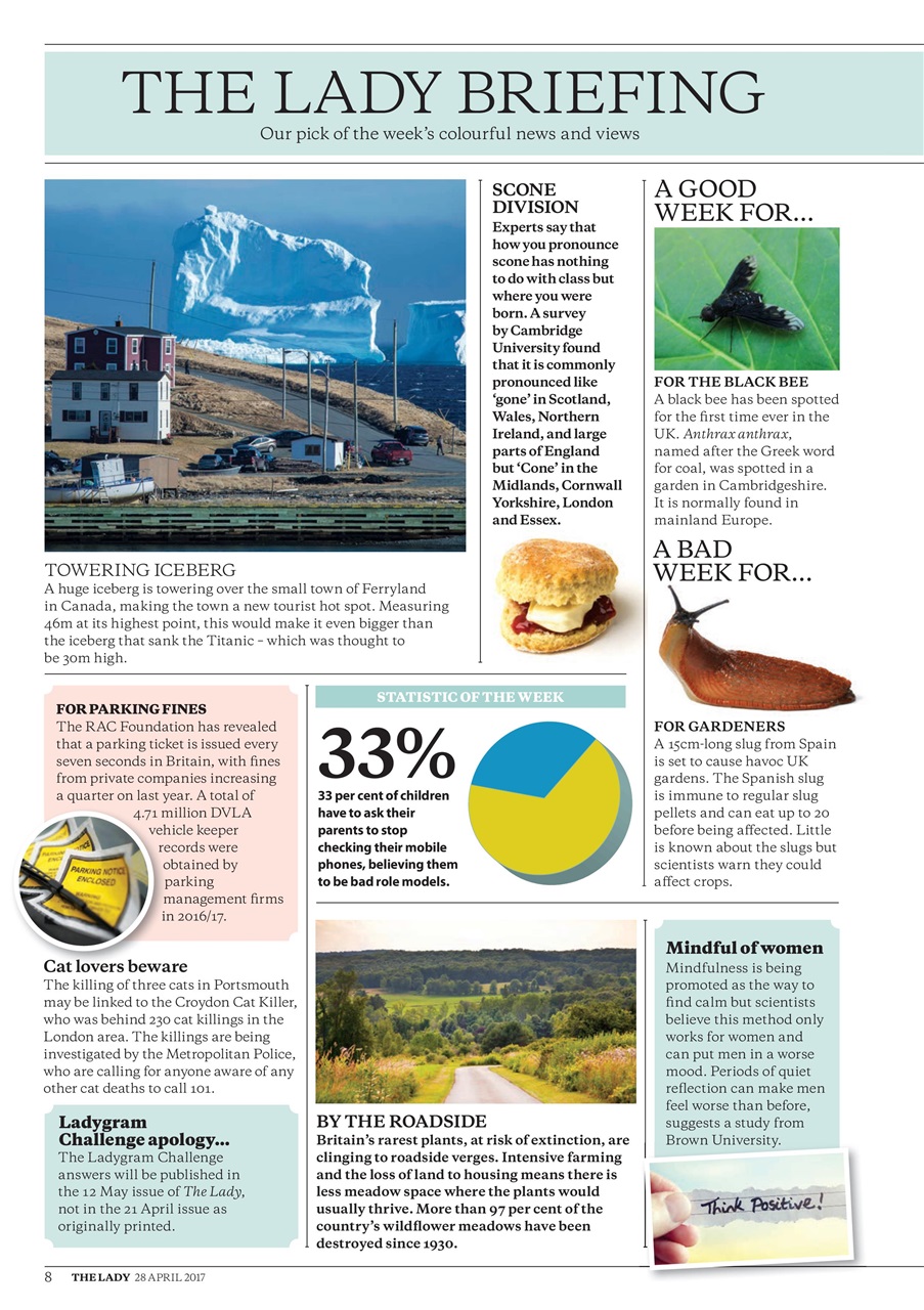 The Lady Preview Pages