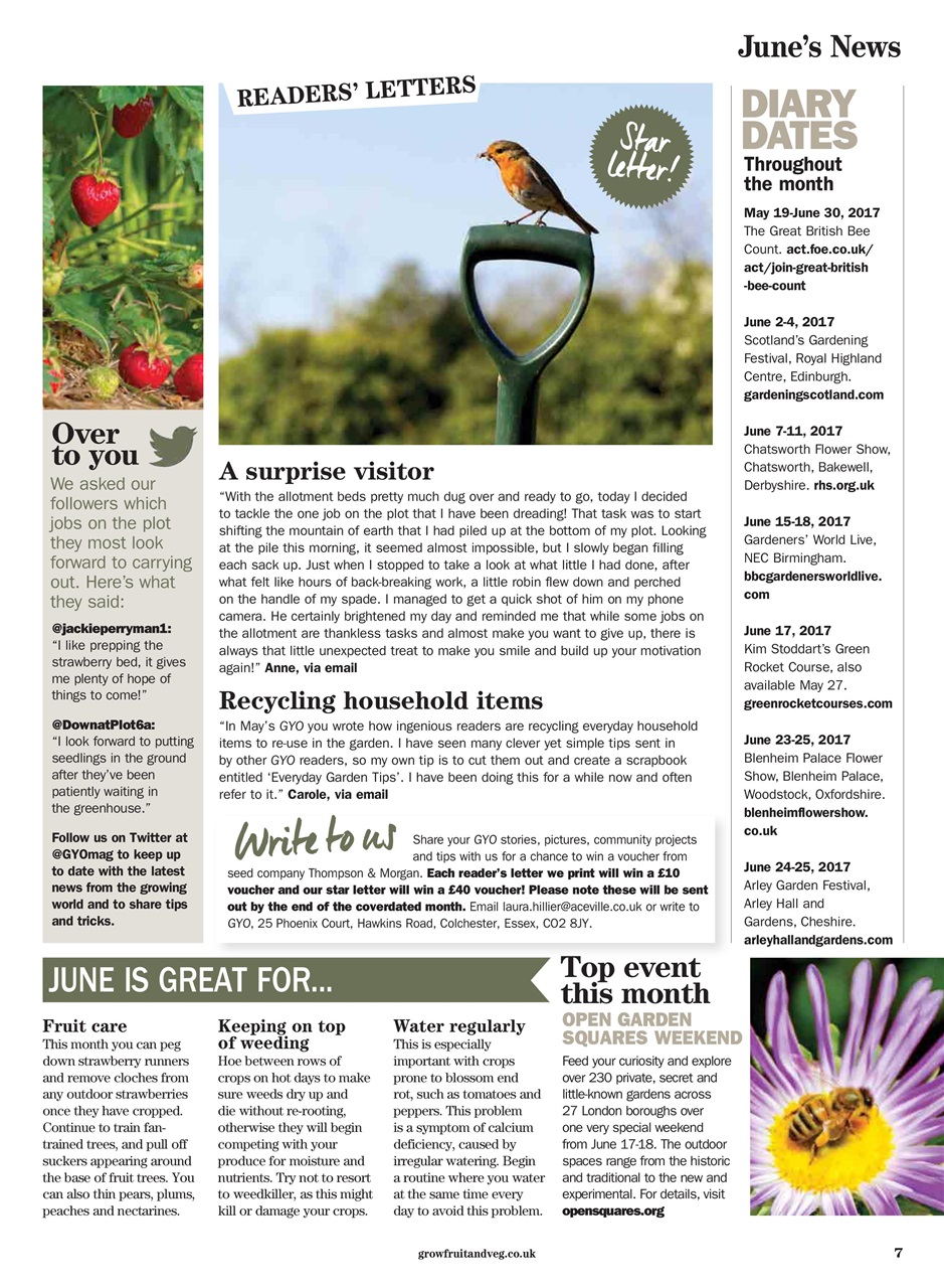 Grow Your Own Preview Pages