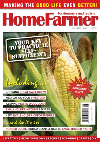 June 2017 issue June 2017