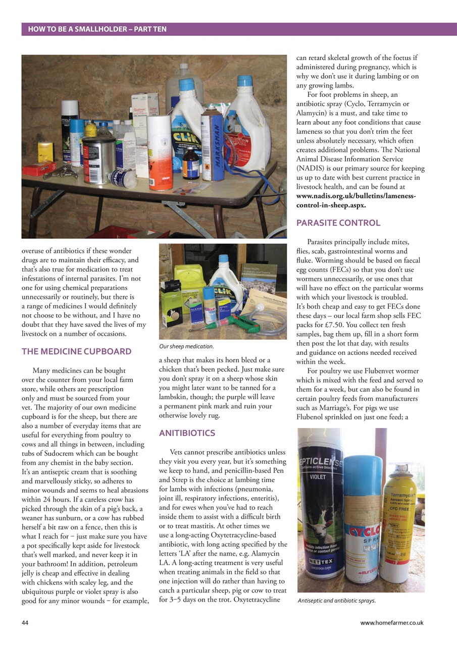 Home Farmer Magazine Preview Pages