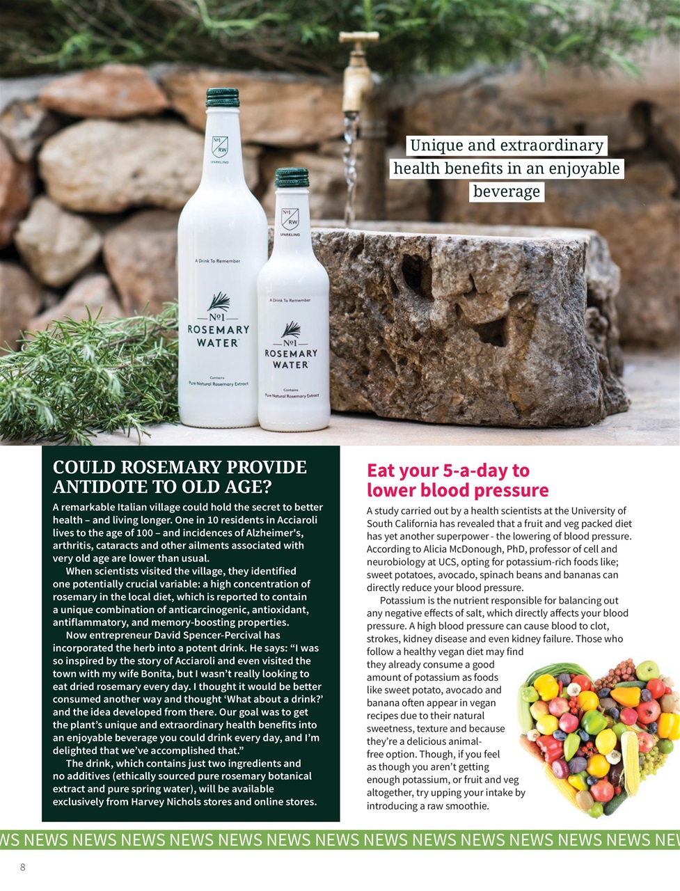 PlantBased Preview Pages