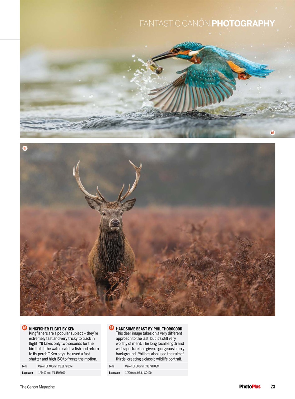 PhotoPlus Preview Pages