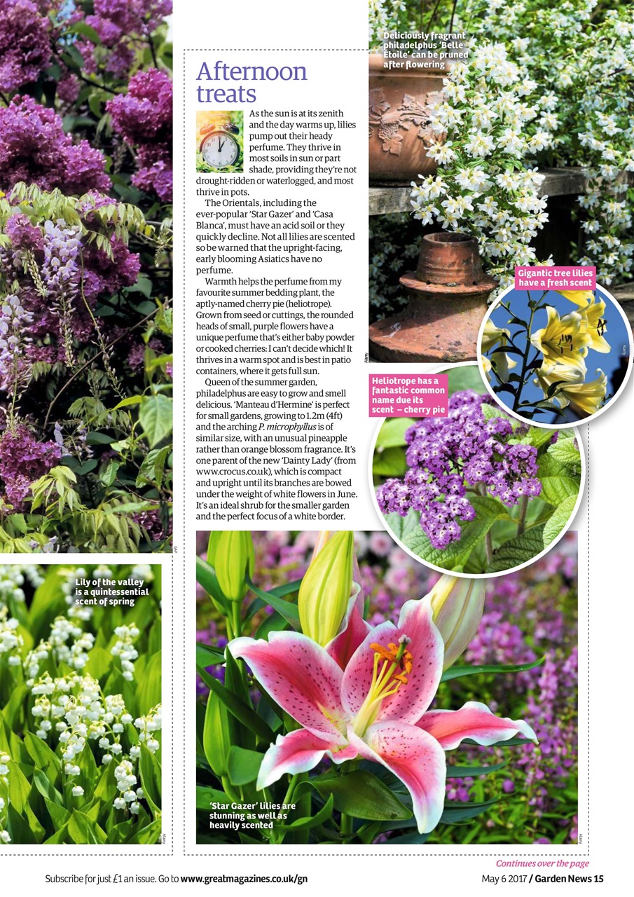 Garden News Preview Pages