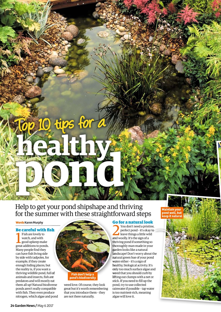 Garden News Preview Pages