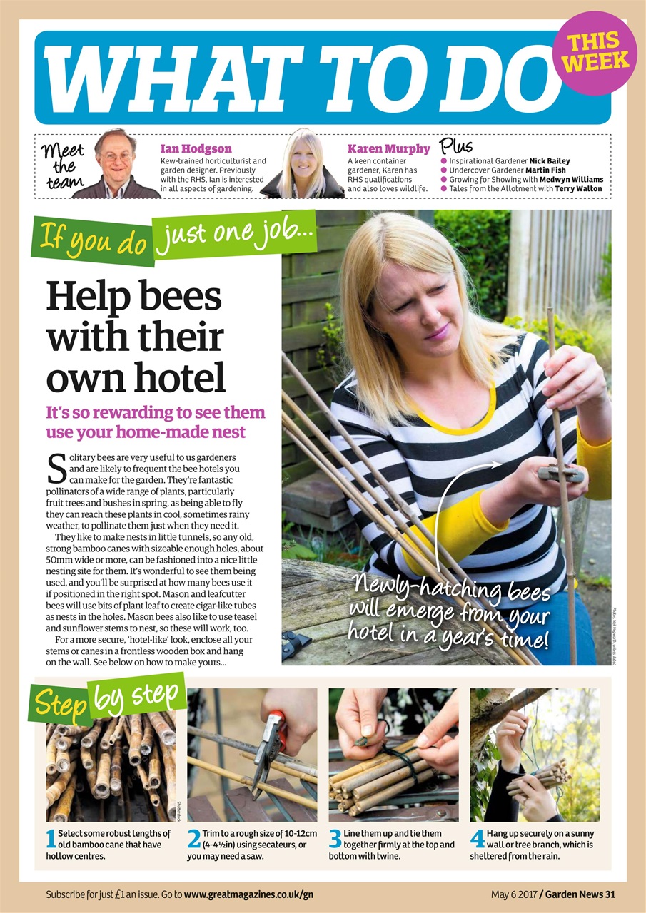 Garden News Preview Pages
