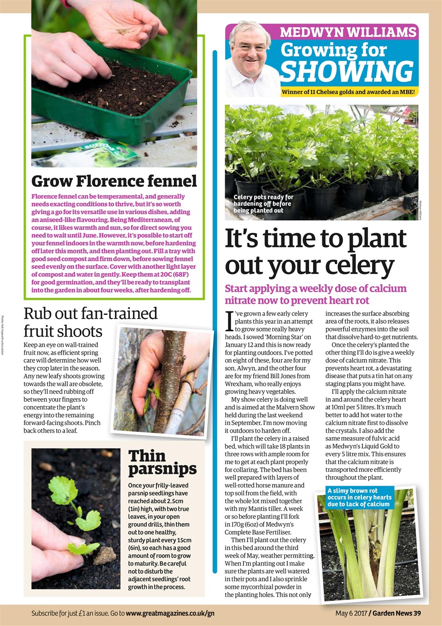 Garden News Preview Pages