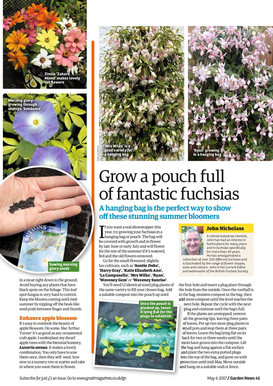 Garden News Preview Pages