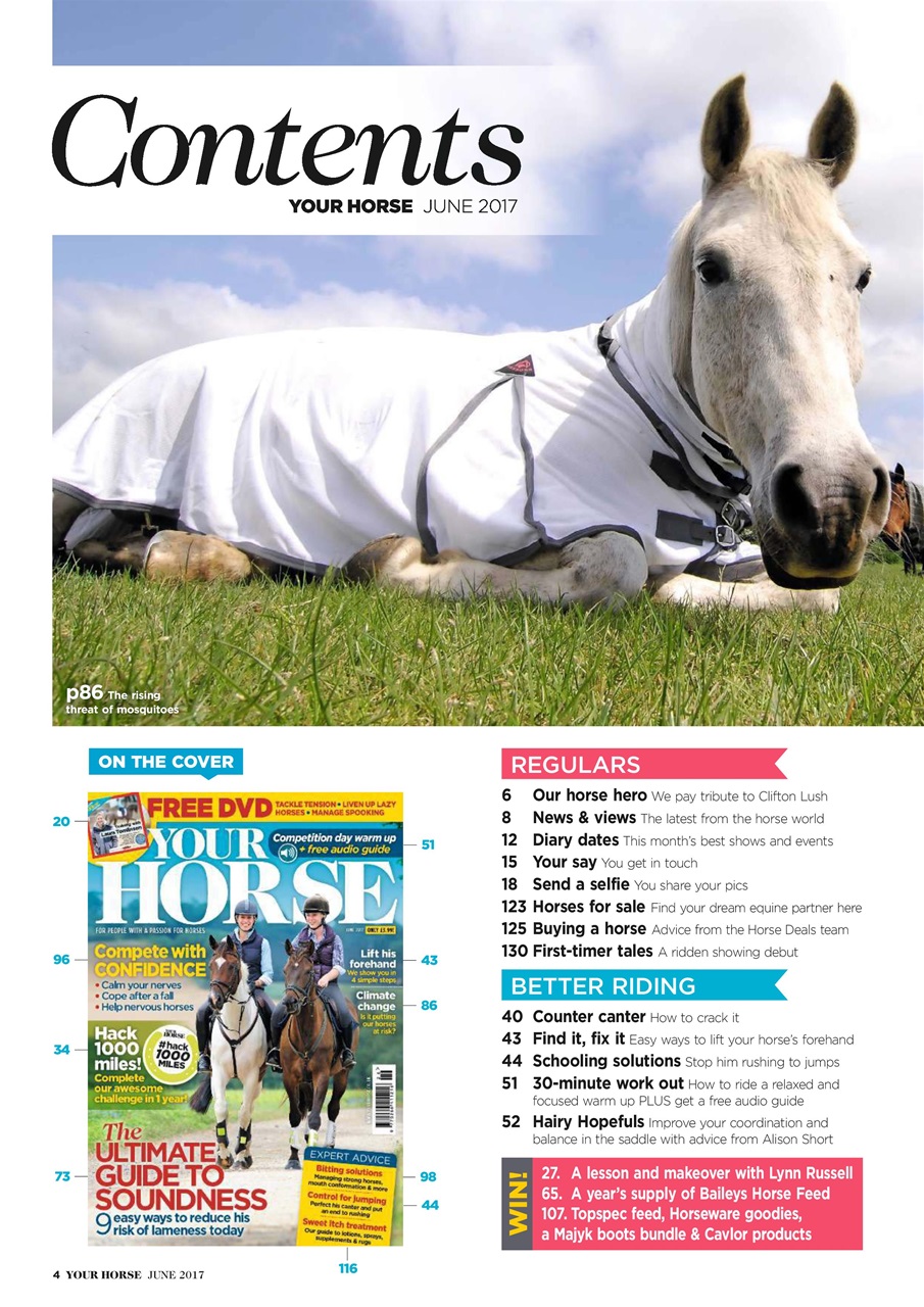 Your Horse Preview Pages