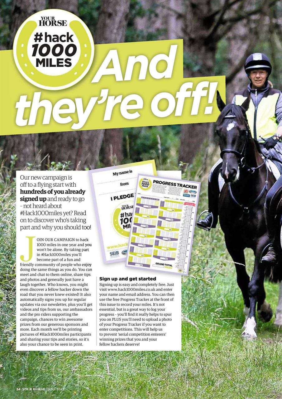 Your Horse Preview Pages