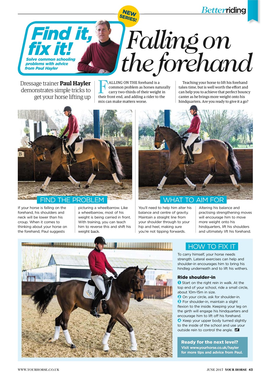 Your Horse Preview Pages