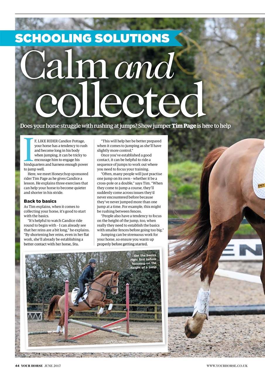 Your Horse Preview Pages