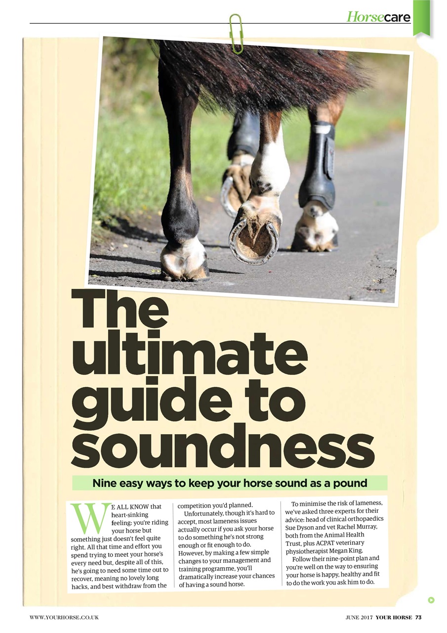 Your Horse Preview Pages