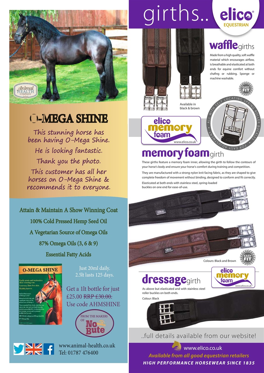 Your Horse Preview Pages