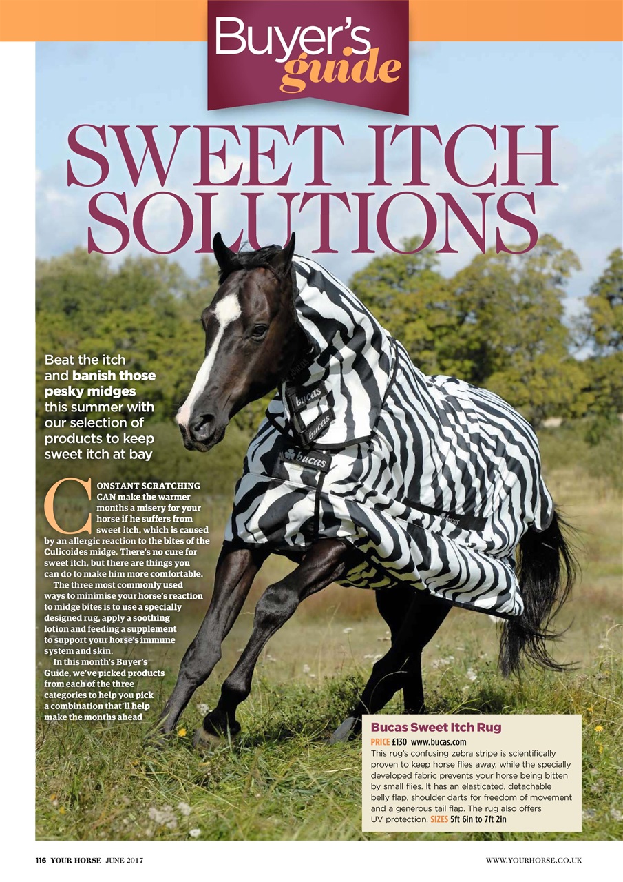 Your Horse Preview Pages