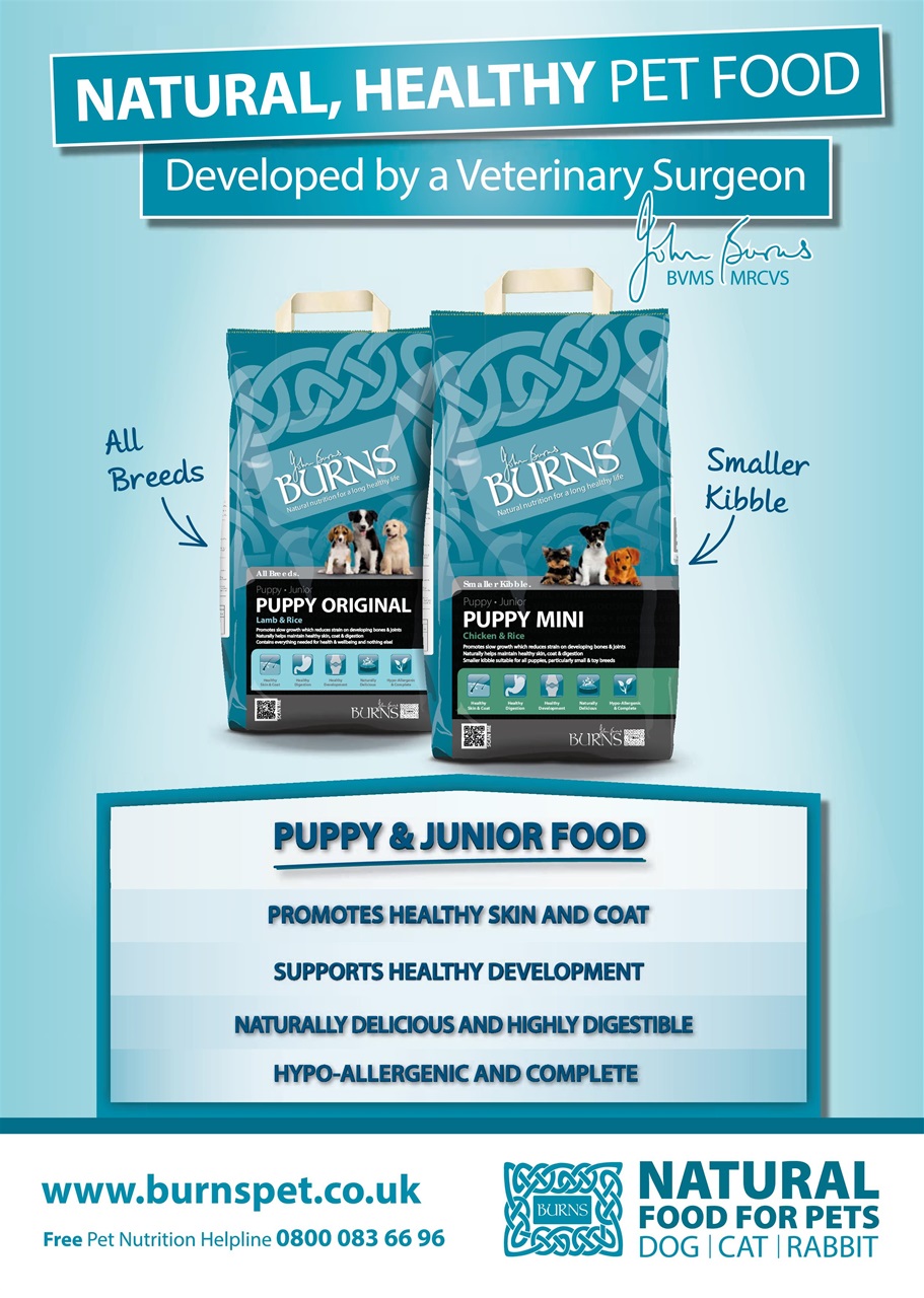 Dogs Monthly Preview Pages