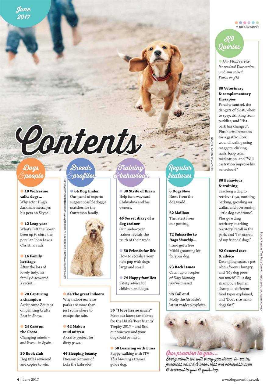 Dogs Monthly Preview Pages
