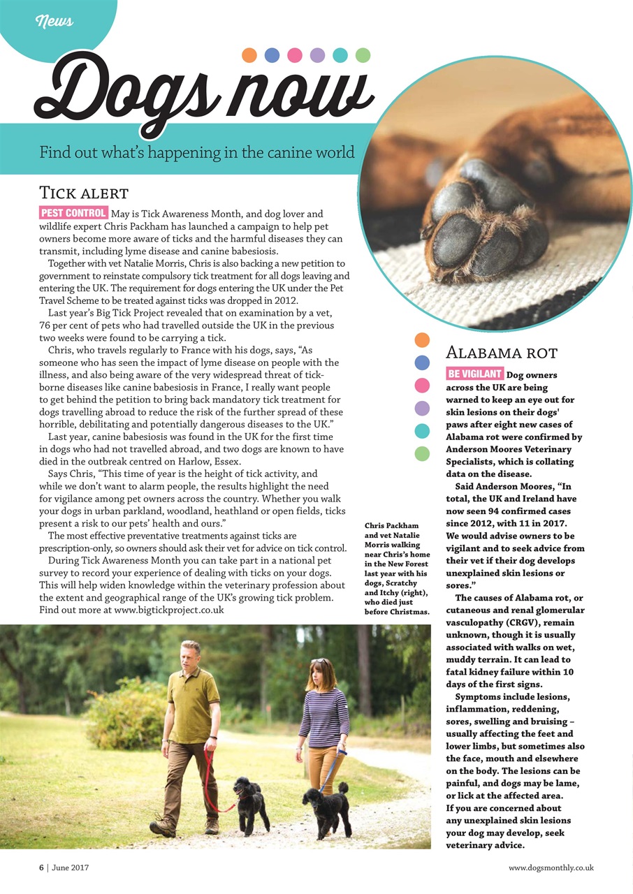 Dogs Monthly Preview Pages