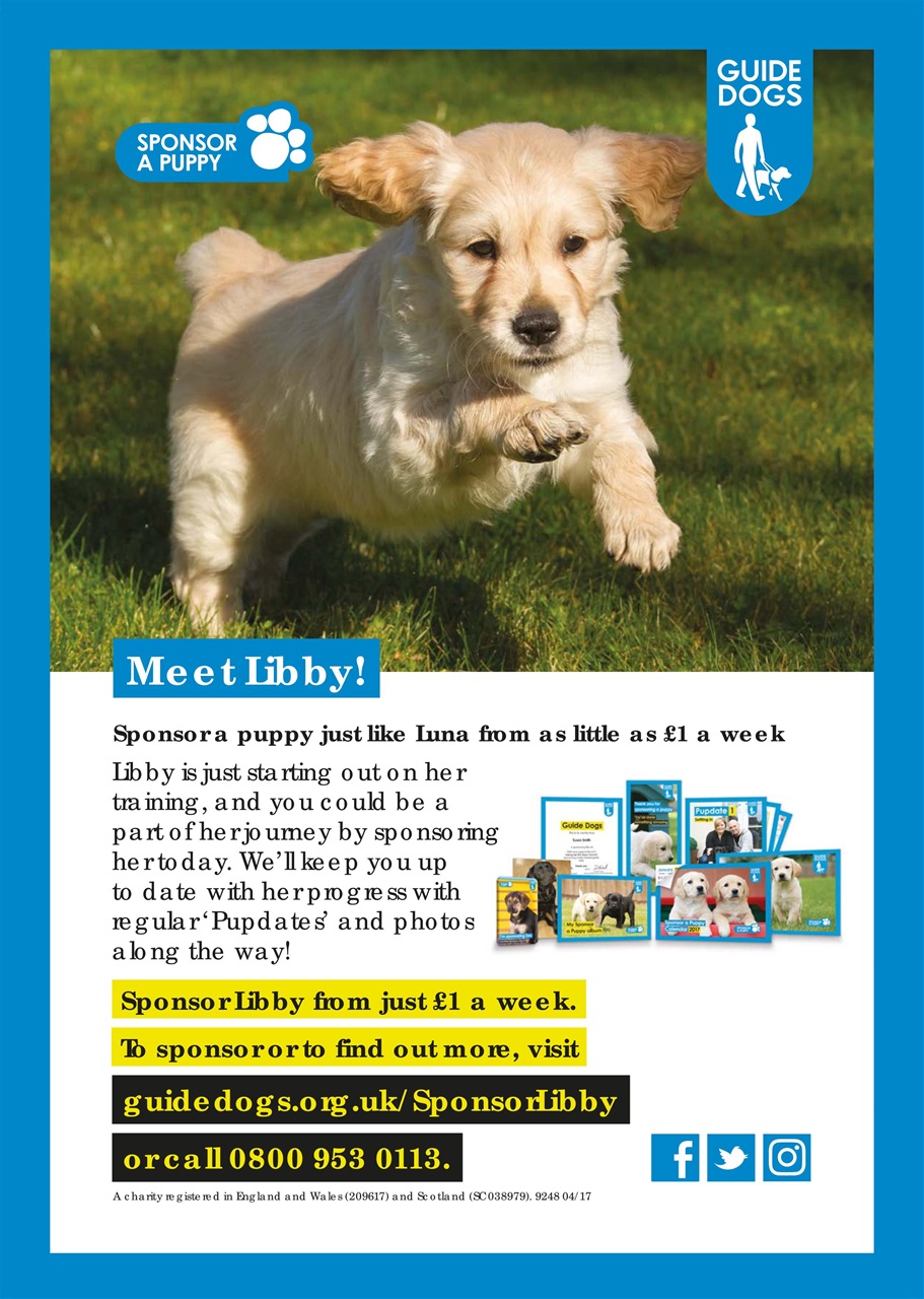 Dogs Monthly Preview Pages