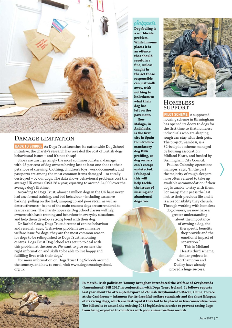 Dogs Monthly Preview Pages