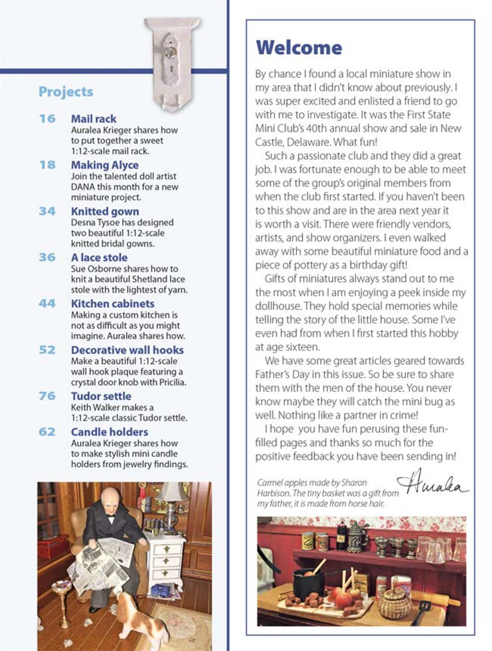 American Miniaturist Preview Pages