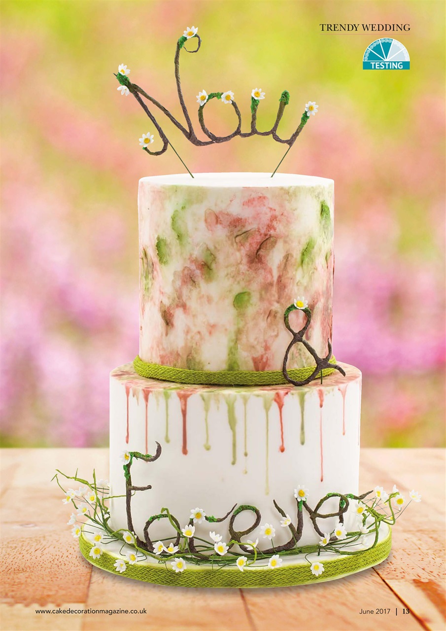 Cake Decoration & Sugarcraft Magazine Preview Pages