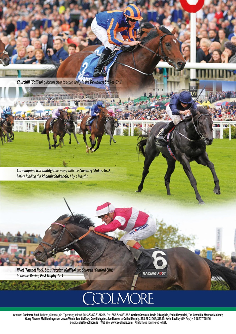The Owner Breeder Preview Pages