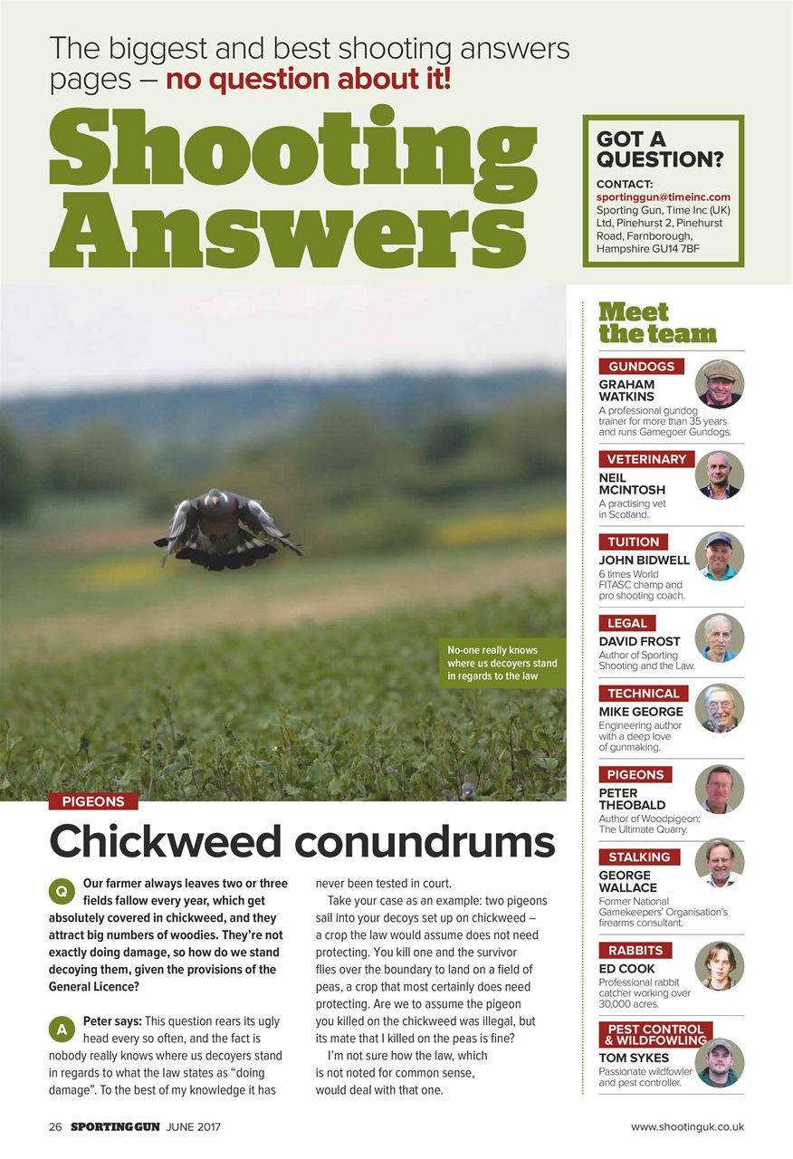 Sporting Gun Preview Pages