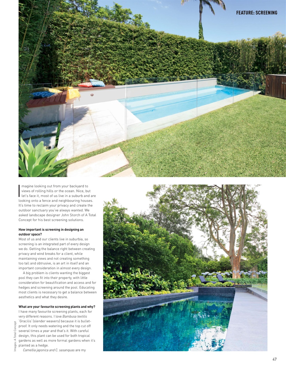 Poolside Showcase Preview Pages