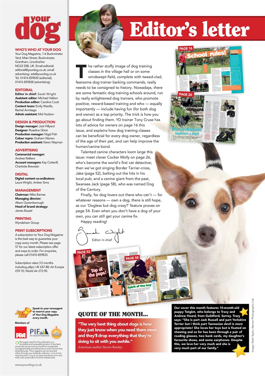 Your Dog Preview Pages